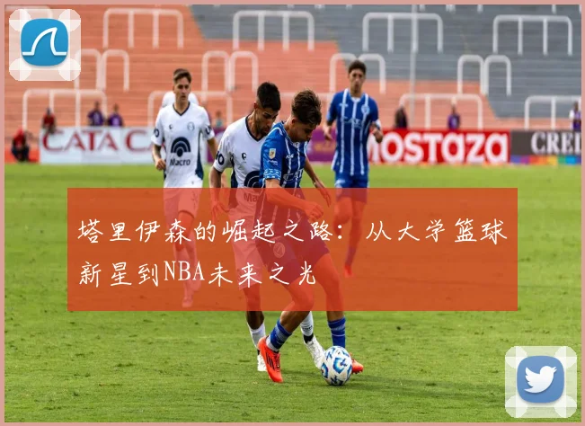 塔里伊森的崛起之路：从大学篮球新星到NBA未来之光