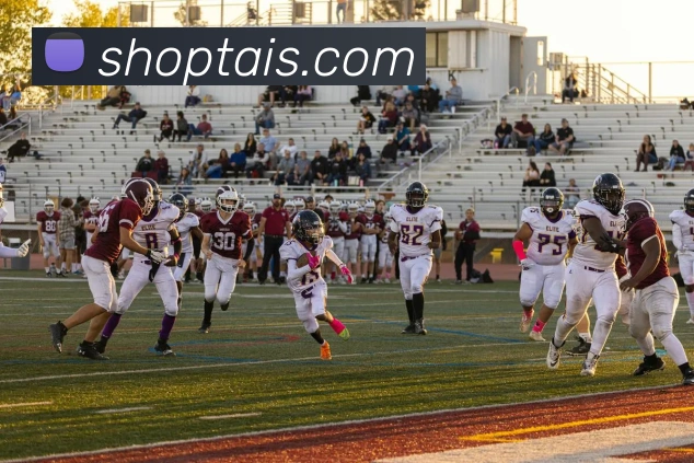 多媒体互动体验